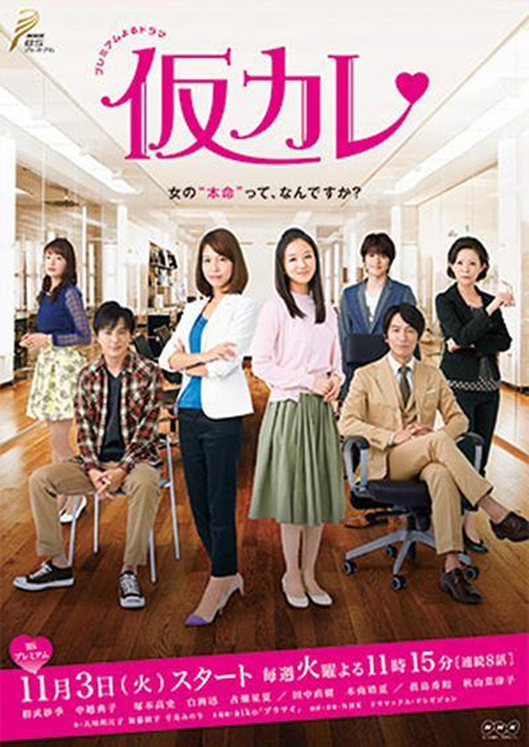 《临时男友》百度云网盘夸克下载.阿里云盘.中字.(2015)-迅雷电影天堂